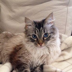 Meet your Posher, Maryellen